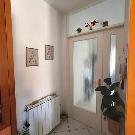 Chulla Vida * Perugia